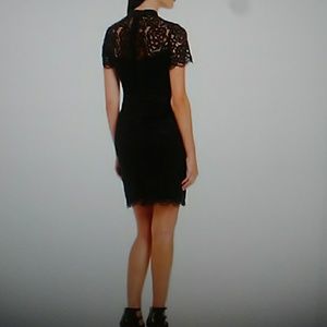 Black lace peter Pan collar dress Karl Lagerfeld